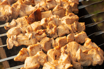 Pork meat, barbecue on coals, in the grill.
Мясо свинины, шашлык на углях, в мангале.
