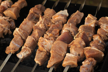 Pork meat, barbecue on coals, in the grill.
Мясо свинины, шашлык на углях, в мангале.