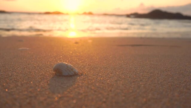Focus on sand and shell on beach with orage sun flare