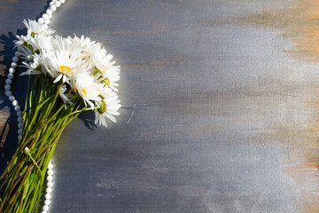 dandelion on a wooden background