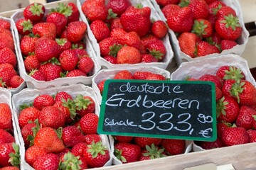 Red strawberries market price hyperinflation luxury groceries. Cups of fresh sweet quality strawberries at marketplace. Local bio fruit sale with german euro price tag at inflation time in germany