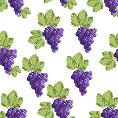 Colorful, seamless pattern of a bunch of purple grapes on a white background.The vector pattern can be used in the designs of wineries, textiles.juice packs, menus.