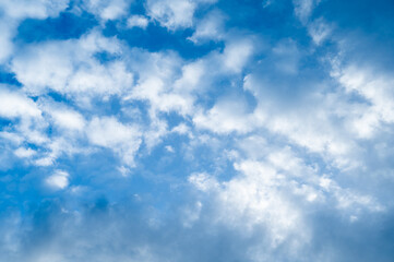 Fototapeta premium 青空 空 晴天 もこもこ雲