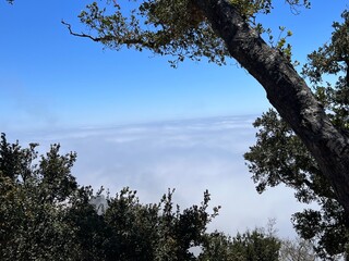Nepenthe Big Sur Highway 1 Coastline California USA