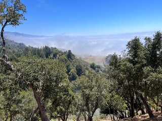 Nepenthe Big Sur Highway 1 Coastline California USA