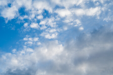 青空　空　晴天　もこもこ雲
