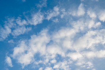 青空　空　晴天　もこもこ雲