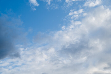 Obraz premium 青空 空 晴天 もこもこ雲