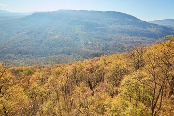 Autumn mountain landscape. Yellow trees on a clear day.