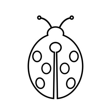 Ladybug line icon. Ladybird beetle or lady beetle. Vector Illustration