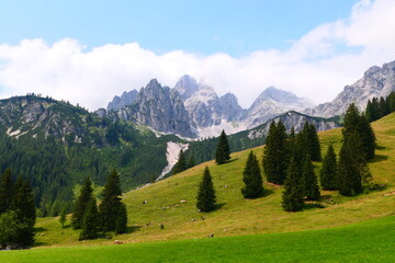 Fototapeta premium Oberhofalm, im Hintergrund die Bischofsmütze