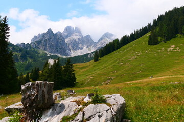 Salzburger Almen Landschaft