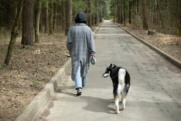 Naklejka na ściany i meble Girl with husky dog. Girl walks pet in park. Dog on leash.