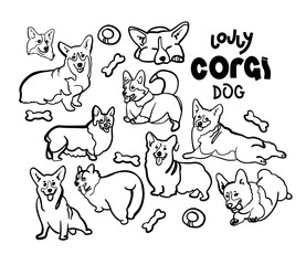 Cute corgi dog doodle. Collection in different poses in free hand drawing illustration style.