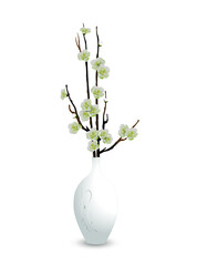 Blossoming branches of an apple tree (cherry, sakura) in a white ceramic vase isolated on a white background. Vector illustration.