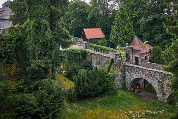 Fototapeta na wymiar Old stone bridge covered with greenery.