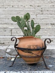 Sicilia