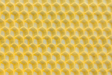 bee cells for gold honey