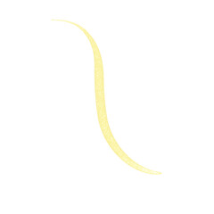 Golden yellow wavy line hand drawn isolated on white background. Element for design. Texture brush.