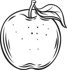 Whole apple line icon vector illustration. Hand drawn outline fresh one fruit with stick and leaf, organic natural farm food product and sketch of healthy harvest from summer and autumn garden