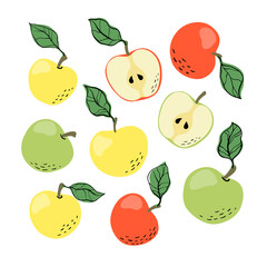 Set of yellow and green apples and apple slices. Hand drawn apples pattern on white background. for fabric, drawing labels, print, wallpaper of children's room, fruit background