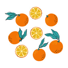 Tropical set of oranges and circle orange slices. Hand drawn citrus orange with leaves isolated on white background. for fabric, drawing labels, print, wallpaper of children's room, fruit background