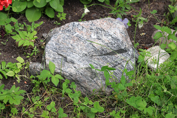 Stone lies in the grass in the garden