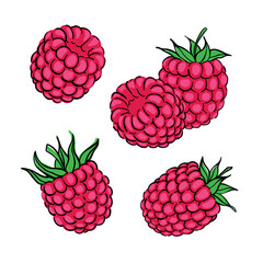 Tropical set doodle red raspberry. Hand drawn berries raspberry isolated on white background. for fabric, drawing labels, print, wallpaper of children's room, fruit sbackground
