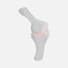 Icon bone connection on white background .Bone connection Vector illustration. Two bones join at the knees high-quality vector illustration