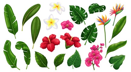 Tropical leaf and flower, floral set vector illustration. Cartoon isolated collection of tropics with green exotic plants, palm tree leaf and jungle foliage, pink blossom of beach paradise and garden