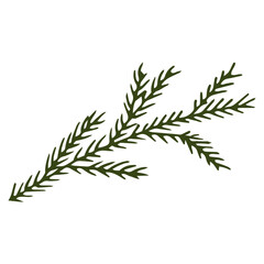 Hand drawn element of a spruce  sprig. Doodle vector illustration green sprig