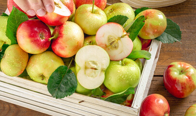 Harvest fresh red and green apples in wooden box on wooden table close up top view with copy space
