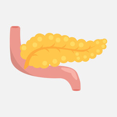 Pancreatic icon on a white background. Isolated pancreas in pink and yellow tones. The viscera of a man. Vector eps illustration.