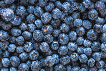 Fresh blueberries background top view close up