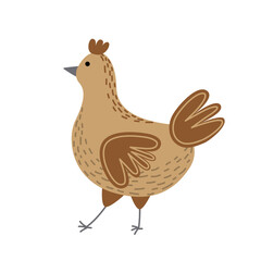 Chicken. Brown hen. Chicken hen. Farm egg laying bird. Flat, cartoon, isolated