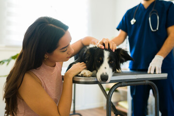 Sad dog owner petting her sick border collie dog at the vet