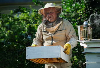 Beekeeper on apiary. Beekeeper is working with bees and beehives on the apiary. Apiculture. Copy...