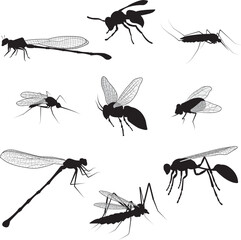 Silhouettes of Flying Insects. Vector Illustration