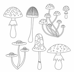 Grebe coloring book. Black and white set of poisonous mushrooms. Vector