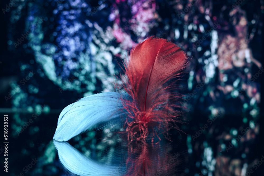 Aufkleber Beautiful Bird feathers on a bokeh background.  Pattern background for design texture.  Macro view photography.