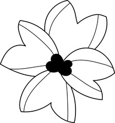 collection forest fern eucalyptus art foliage natural
leaves herbs inline style. Decorative beauty, elegant illustration 
for design: Vector flower Botanical