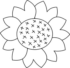 collection forest fern eucalyptus art foliage natural
leaves herbs inline style. Decorative beauty, elegant illustration 
for design: Vector flower Botanical