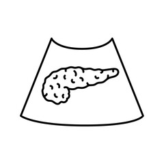 Ultrasound pancreas color line illustration