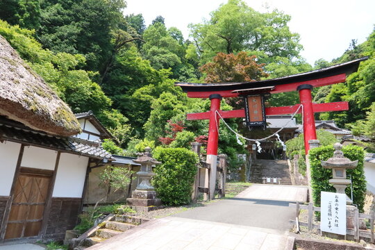 A Japanese shrine : a view of the entrance Torii to the precincts of Okawa-jinjya Shrine in Maizuru City in Kyo Prefecture 日本の神社：京都府舞鶴市にある大川神社境内入り口の鳥居の風景