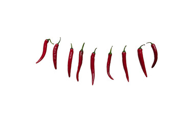 Fresh Red Chili on a white background stock image.