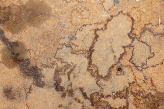 Dirty surface of hardboard sheet with traces of water