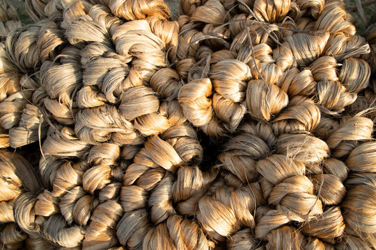 Raw Jute