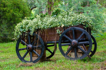 An old wooden cart with flowers in the garden. A beautiful decoration of the suburban area.