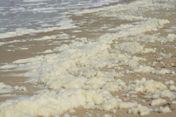 North sea in April in Julianadorp, Netherlands. 