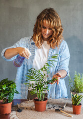 girl watering flowers, spraying from a spray bottle, the concept of indoor plants, flower care, coffee pot on a gray background, hobby, home decor, landscaping, space